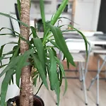 Apartamento Vlak Bij Zee