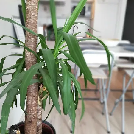 Apartamento Vlak Bij Zee