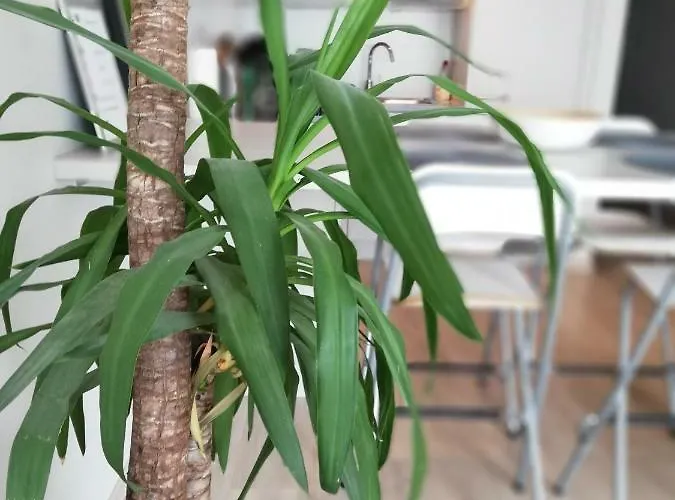 Apartamento Vlak Bij Zee